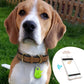 Alarmă cu urmărire bidirecțională a locației Pet Tracker (poate fi utilizată pentru persoane, obiecte și animale de companie)